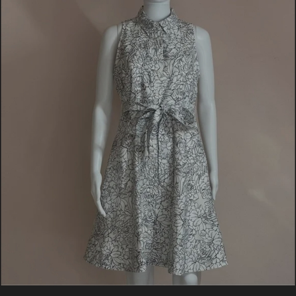 Banana Republic Dress